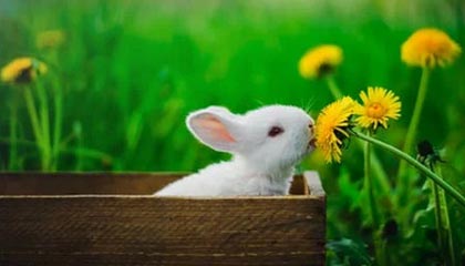 开yun体育-马赛新援闪耀欧洲赛场，成为球队新核心，马赛联赛